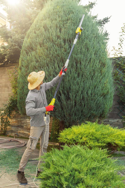 Best Lawn Pest Prevention  in Elm Grove, WI